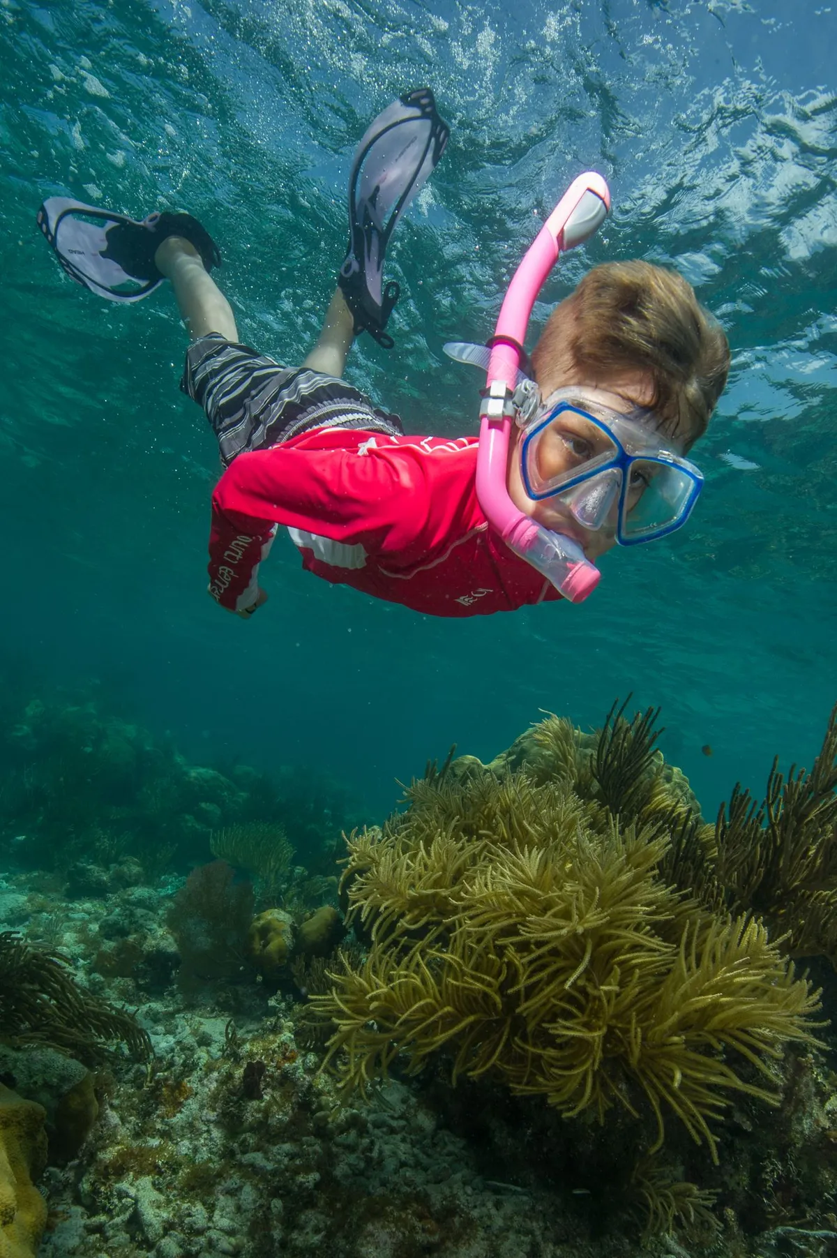 Young child in mask, snorkel and fins swimming over a reef in clear green water